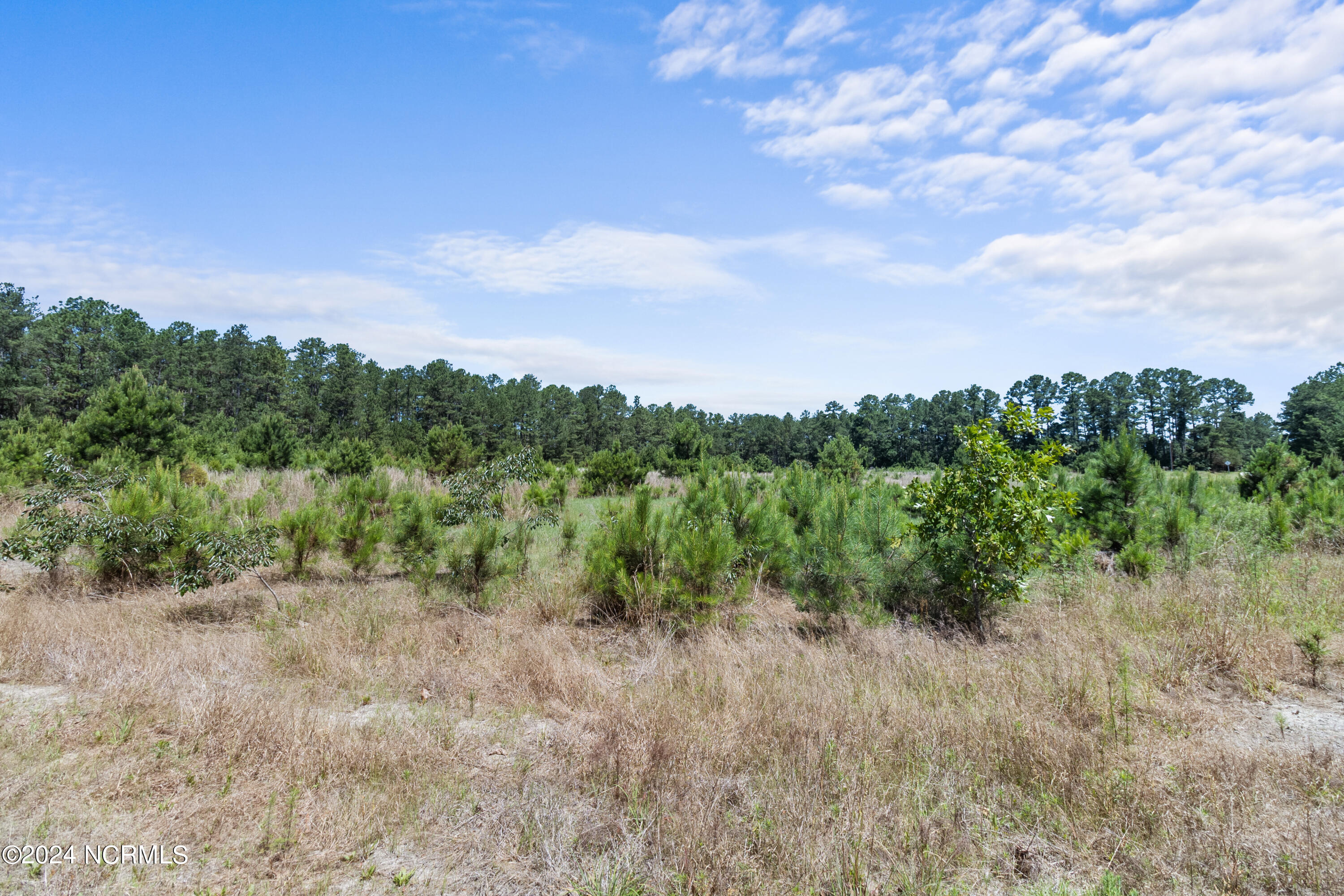 Tbd Bowman Rd Property Photo 8