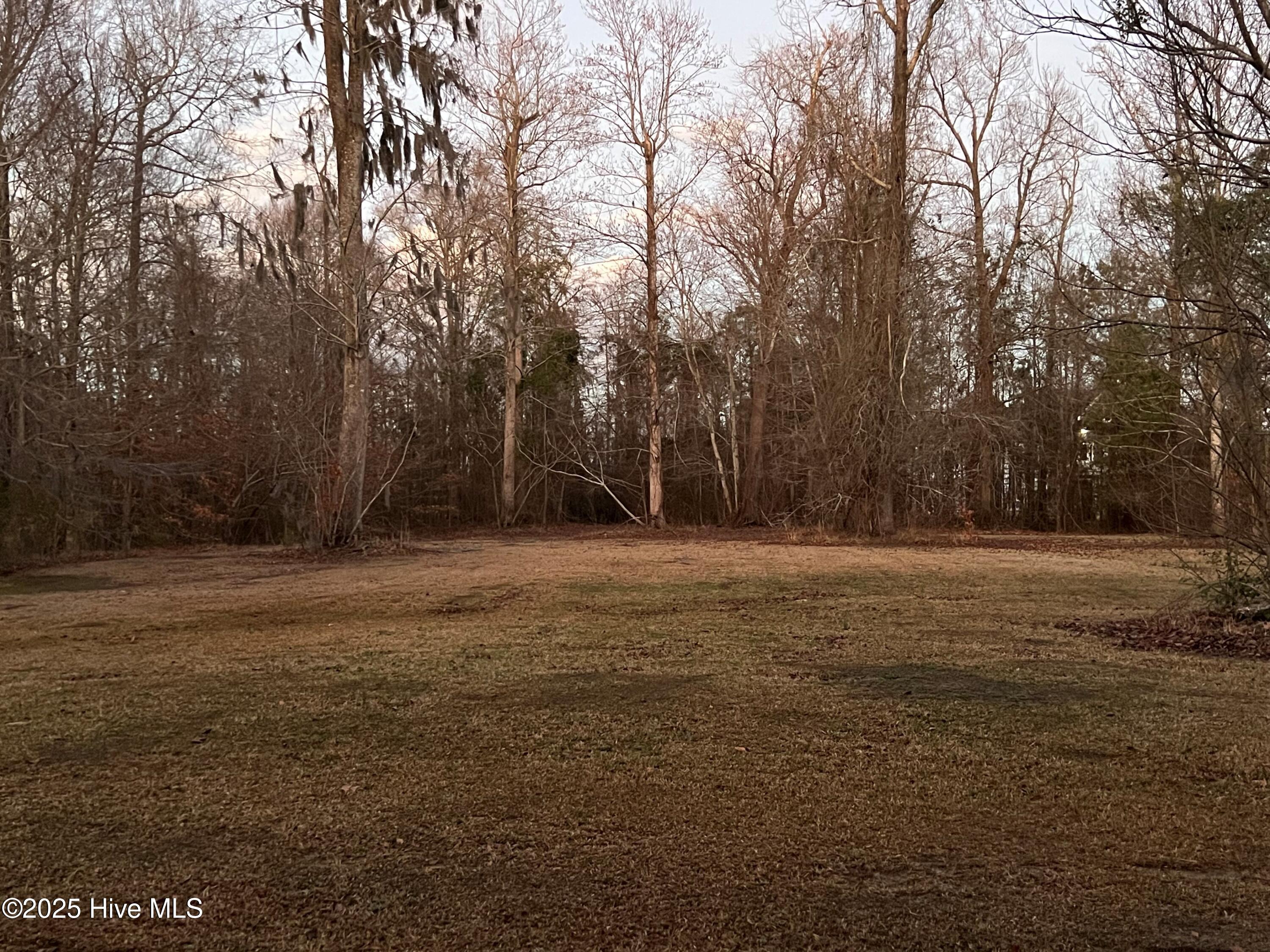 45 Sterling Colson Way Property Photo 7
