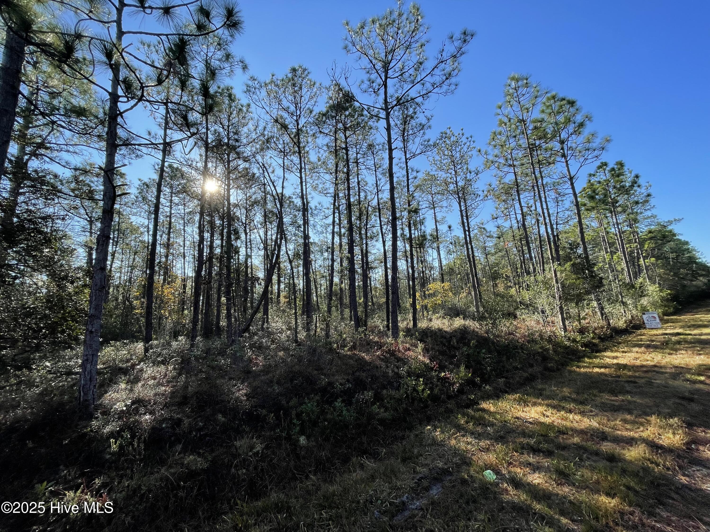 L-191 Audubon Road Property Photo