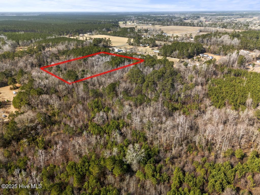 0 Hwy 117 Property Photo 6