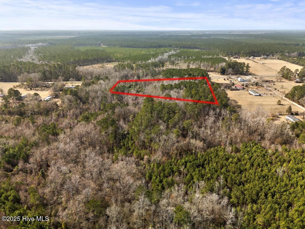 0 Hwy 117 Property Photo 7