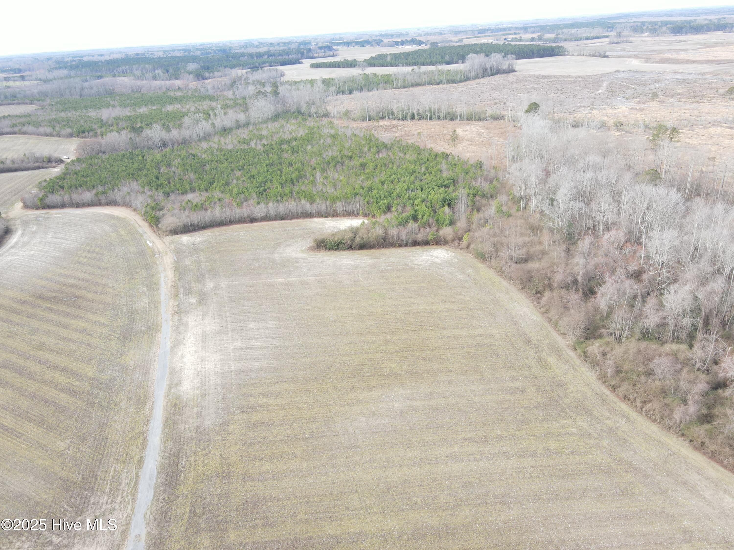 Tbd Highway 125 Property Photo 3