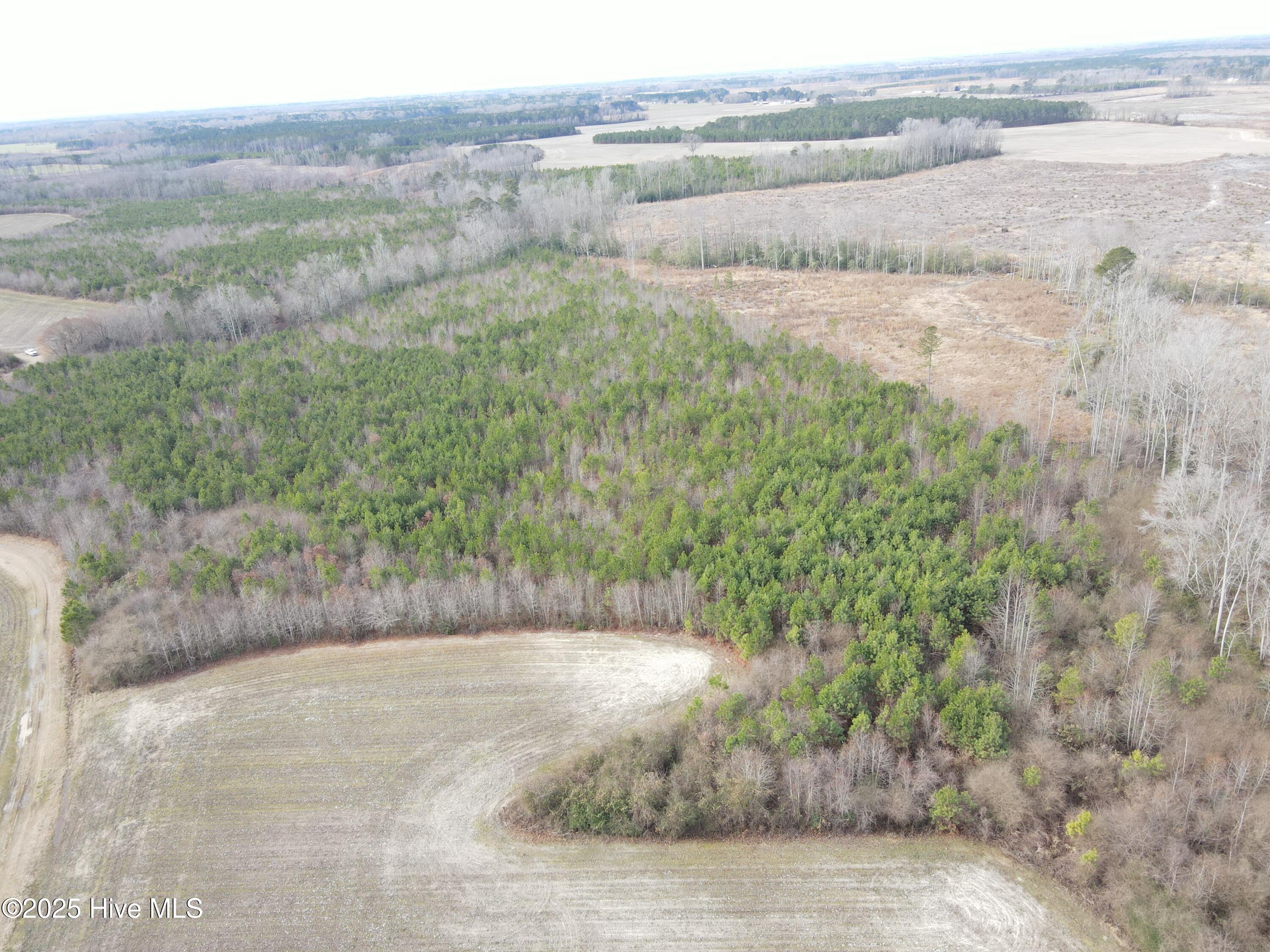 Tbd Highway 125 Property Photo 4