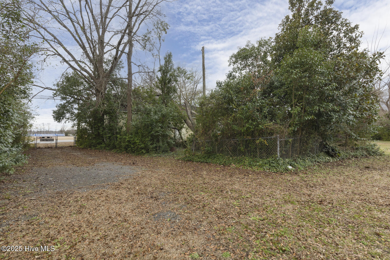 202 Kinston Highway Property Photo 6