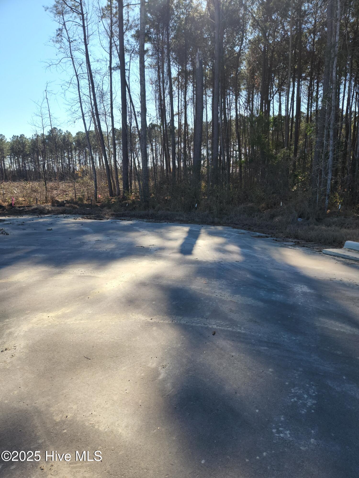 Tbd E Us 70 Highway Property Photo 5