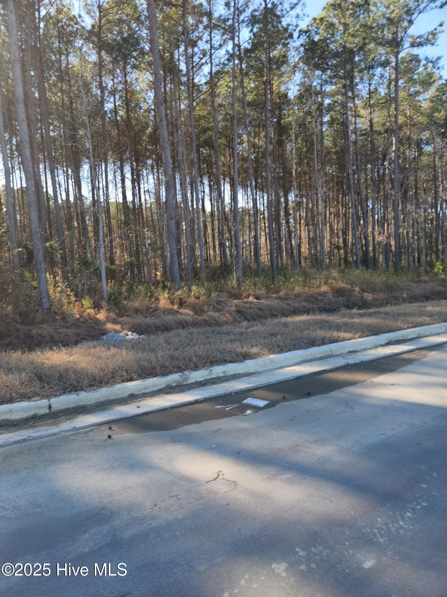 Tbd E Us 70 Highway Property Photo 6