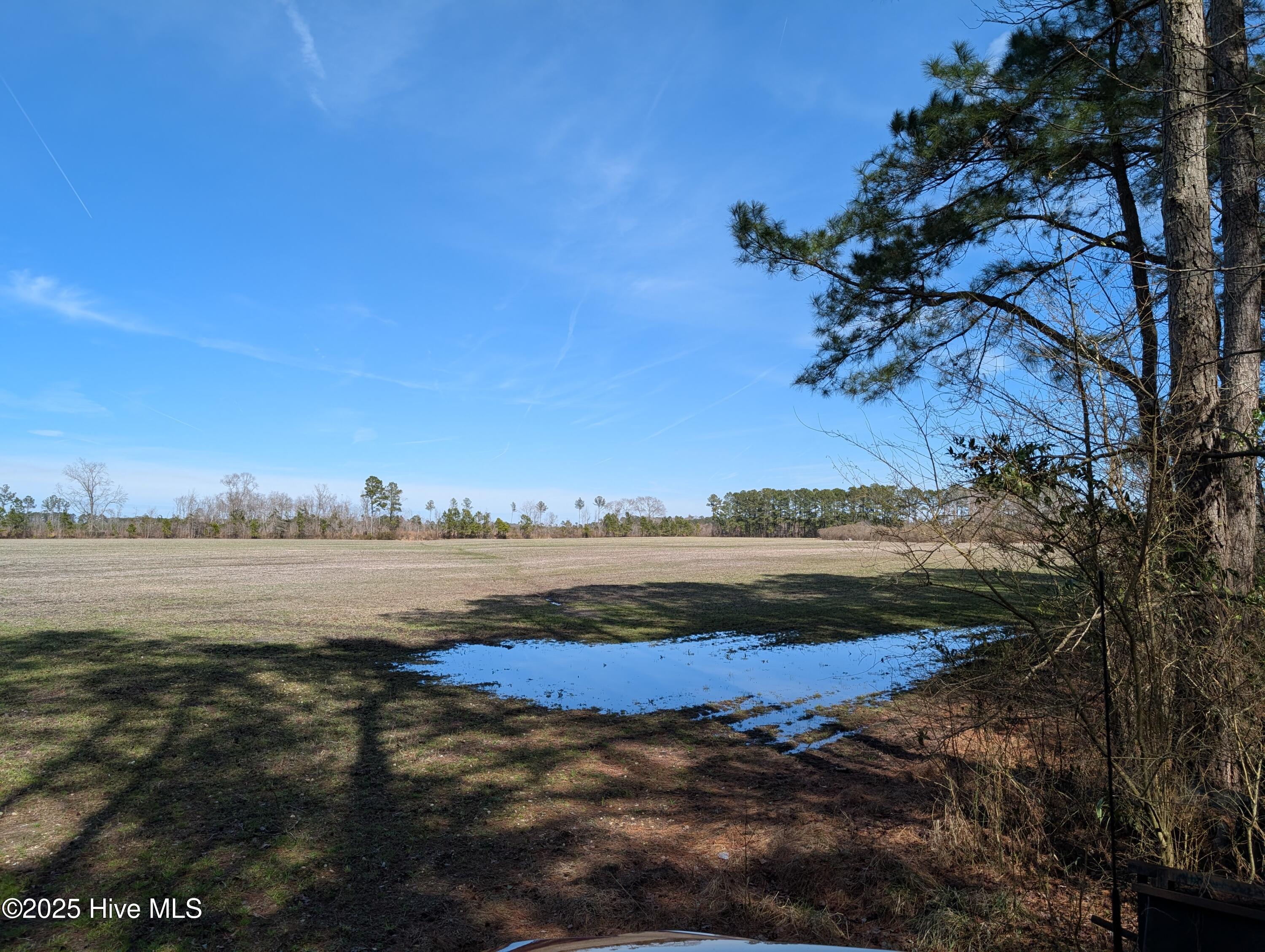 522 Plum Nearly Lane Property Photo 18