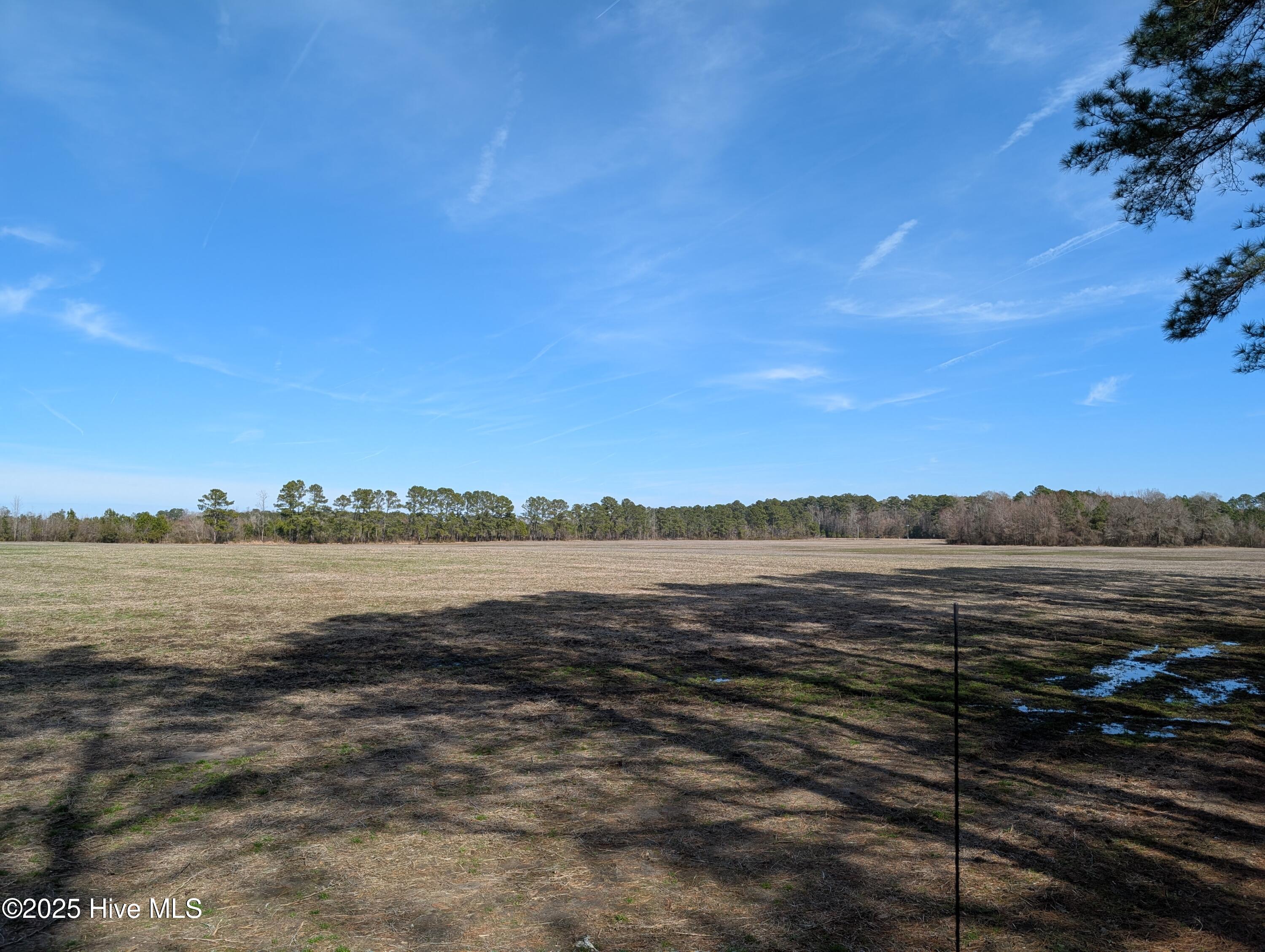 522 Plum Nearly Lane Property Photo 24