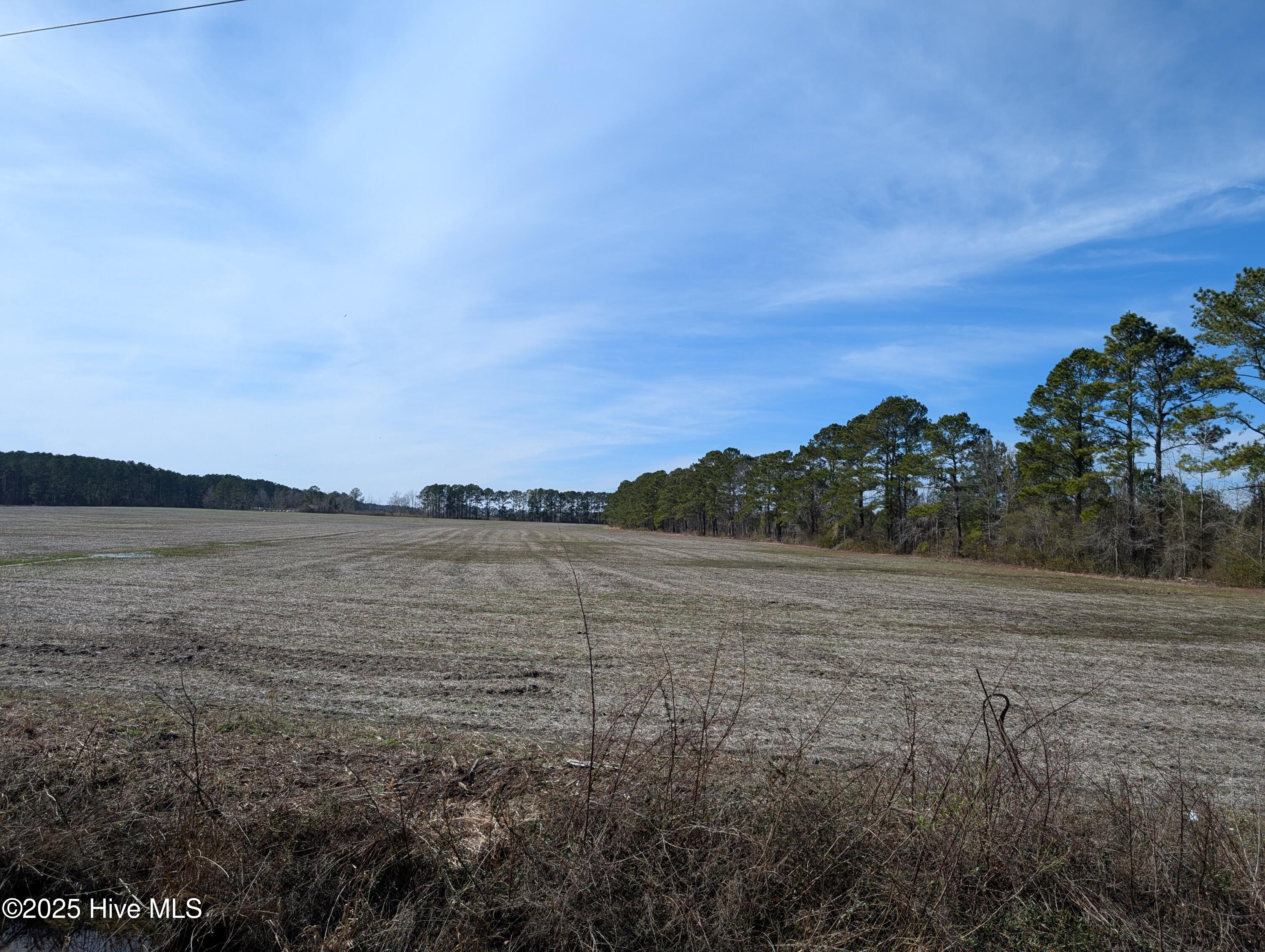 522 Plum Nearly Lane Property Photo 26