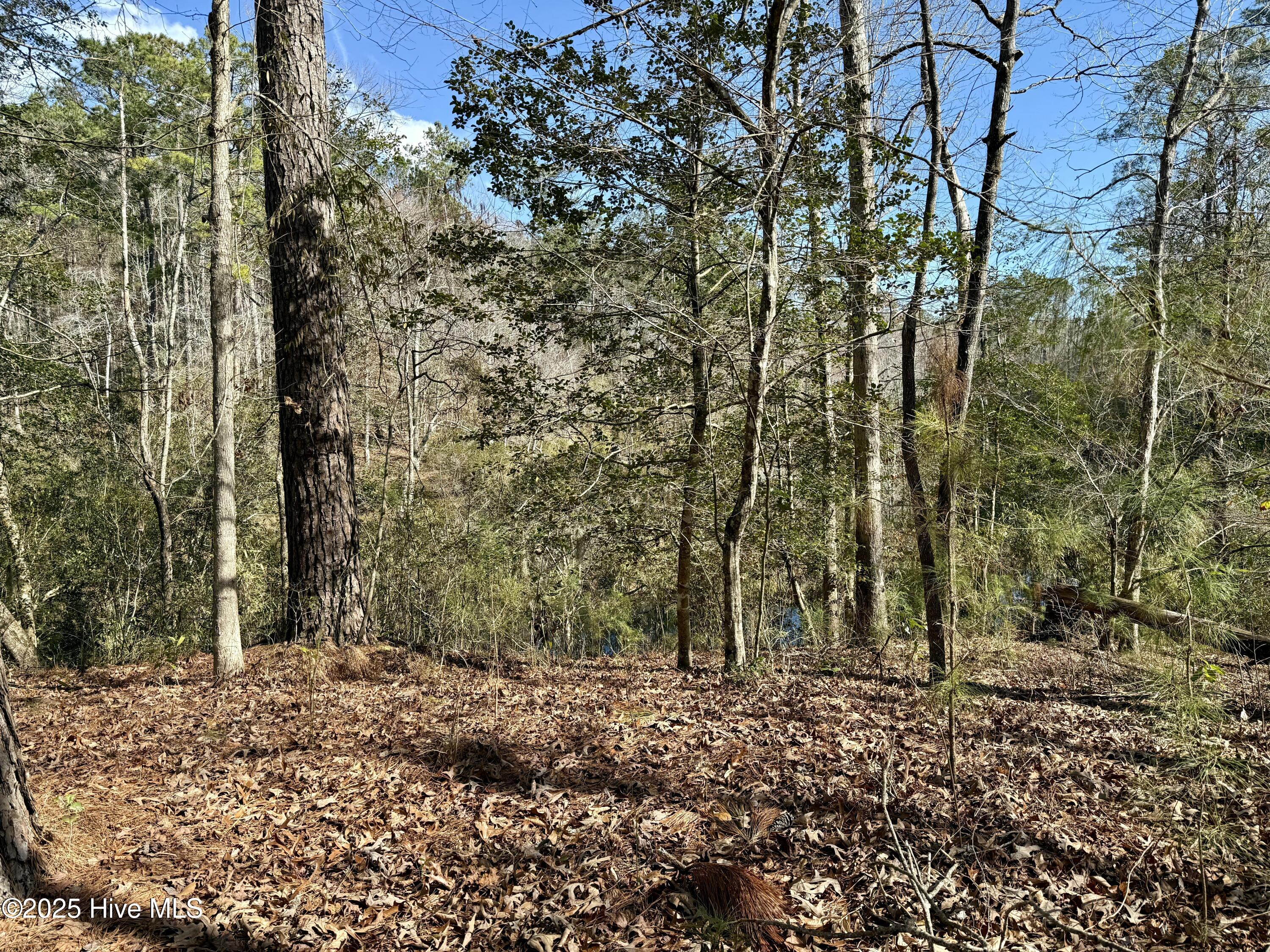 00 Old Tar Landing Road Property Photo 2