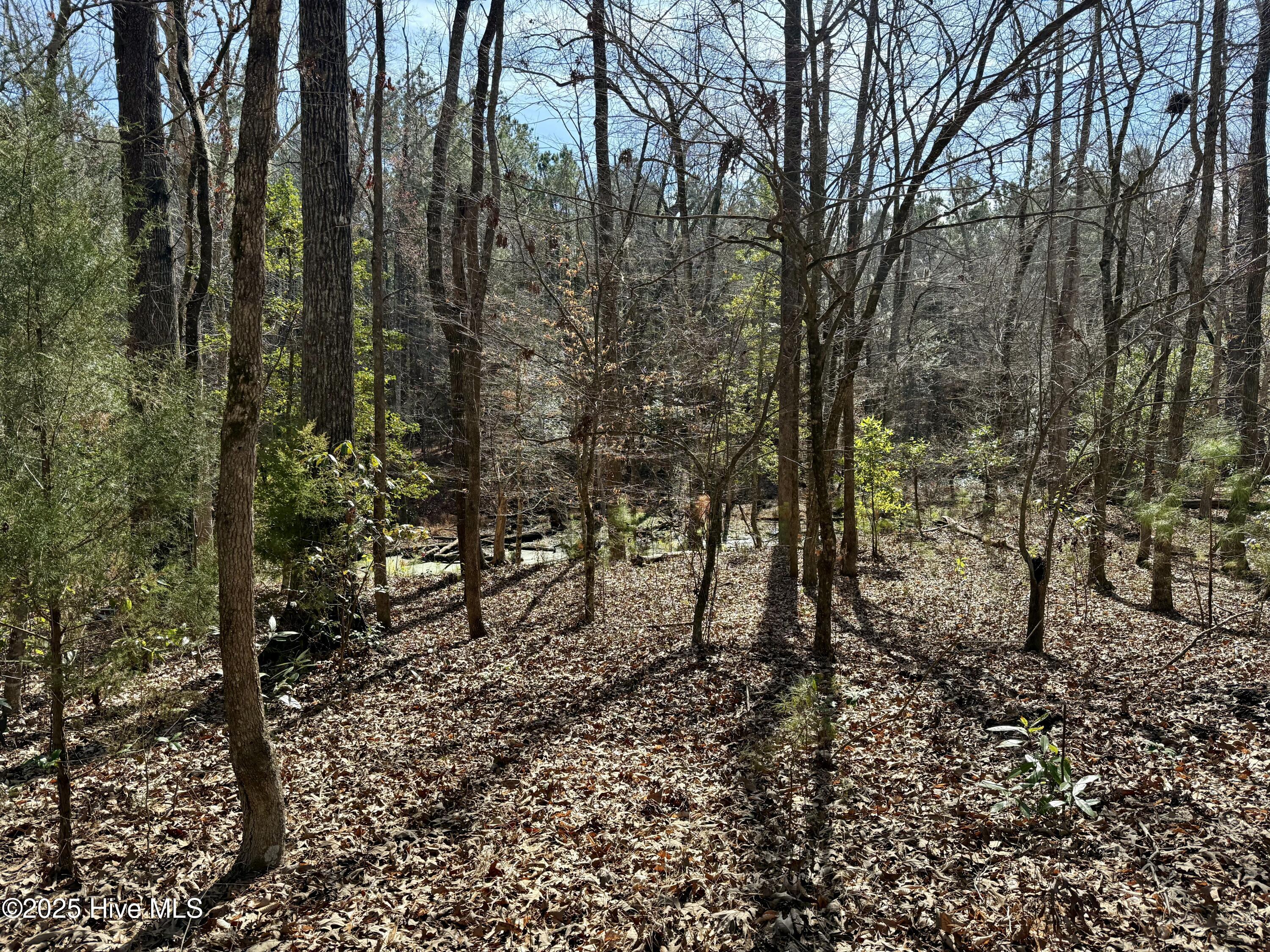 00 Old Tar Landing Road Property Photo 3