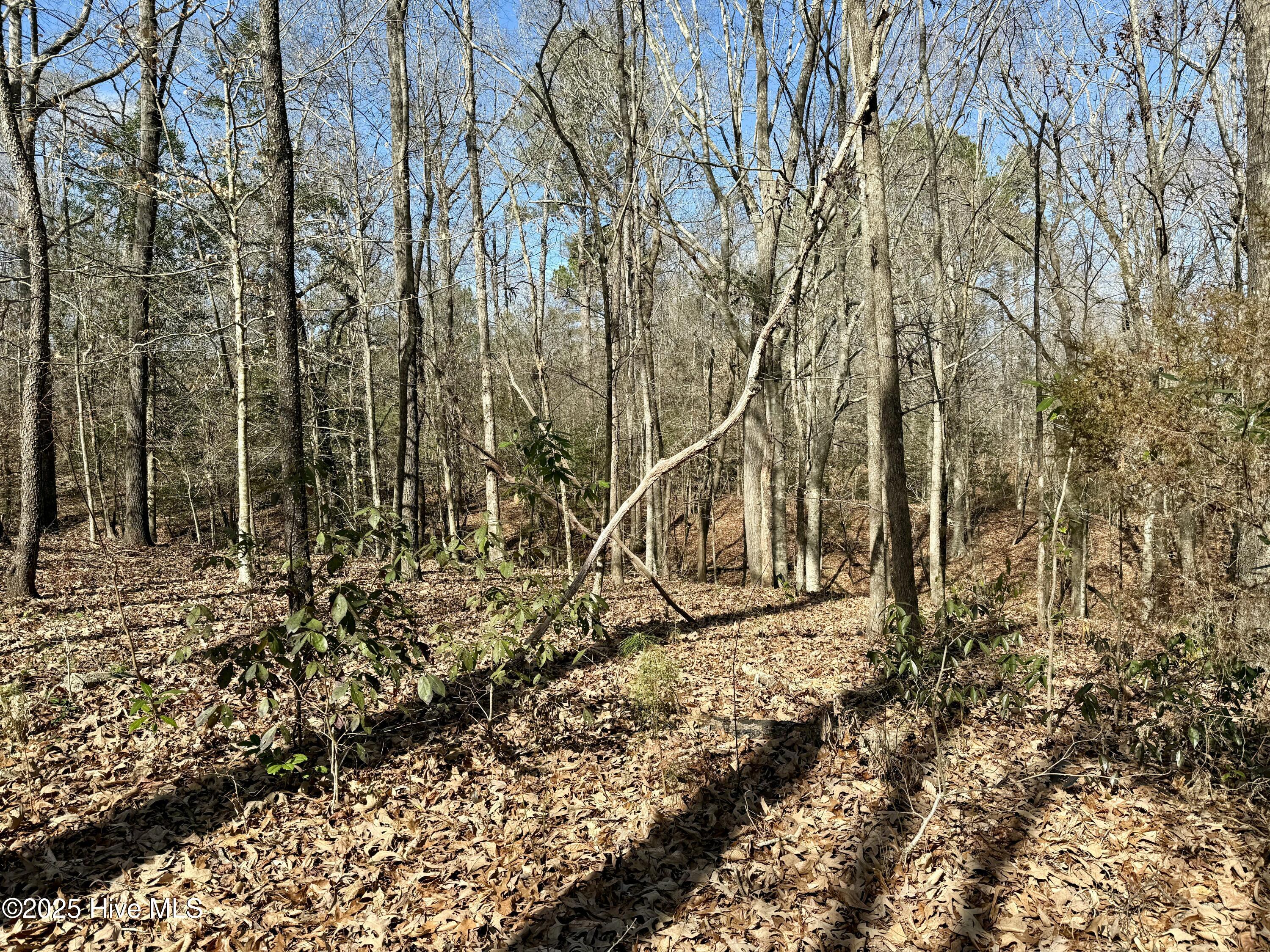 00 Old Tar Landing Road Property Photo 4
