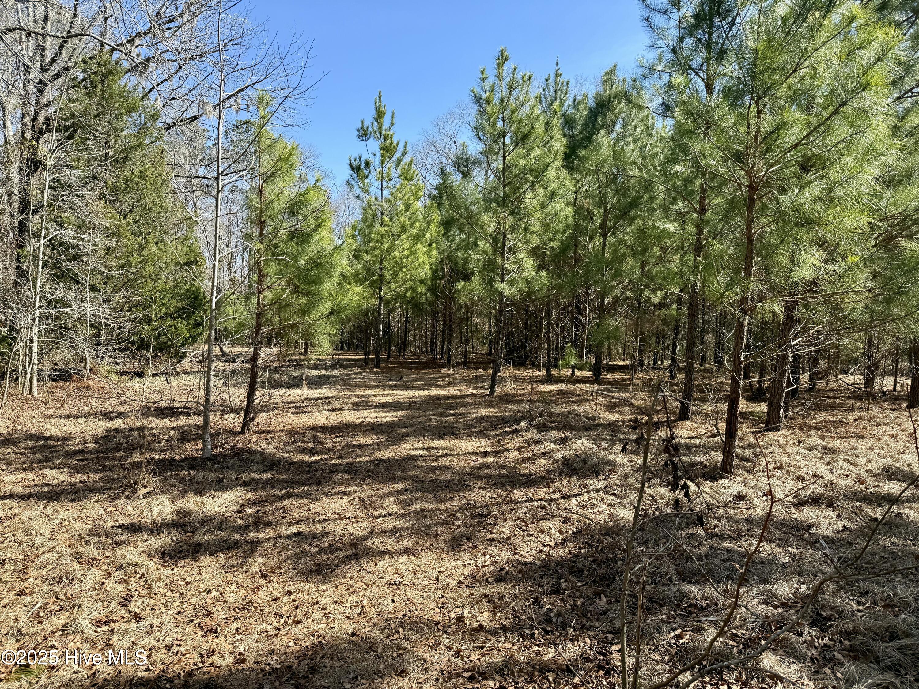 00 Old Tar Landing Road Property Photo 5