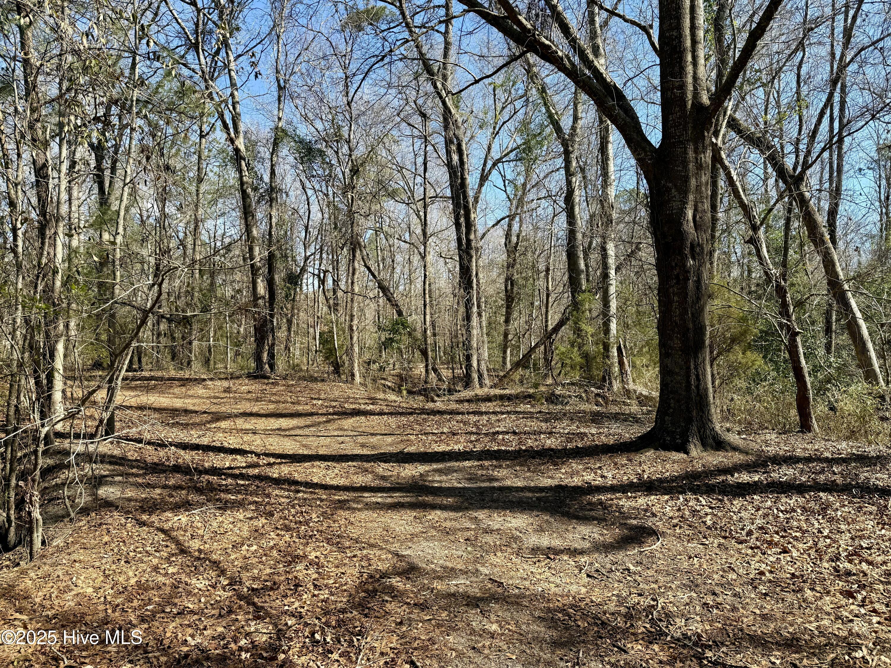 00 Old Tar Landing Road Property Photo 6