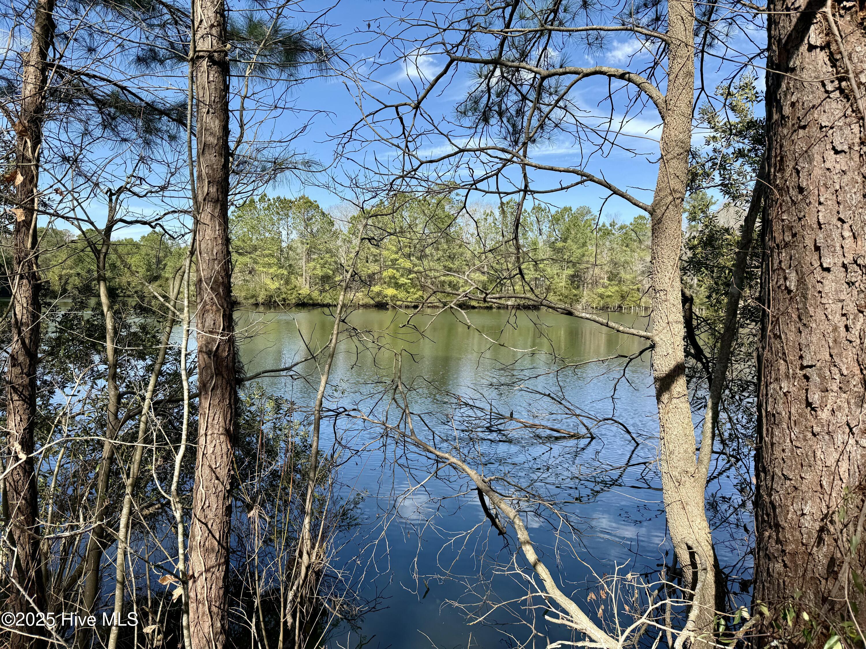 00 Old Tar Landing Road Property Photo 7