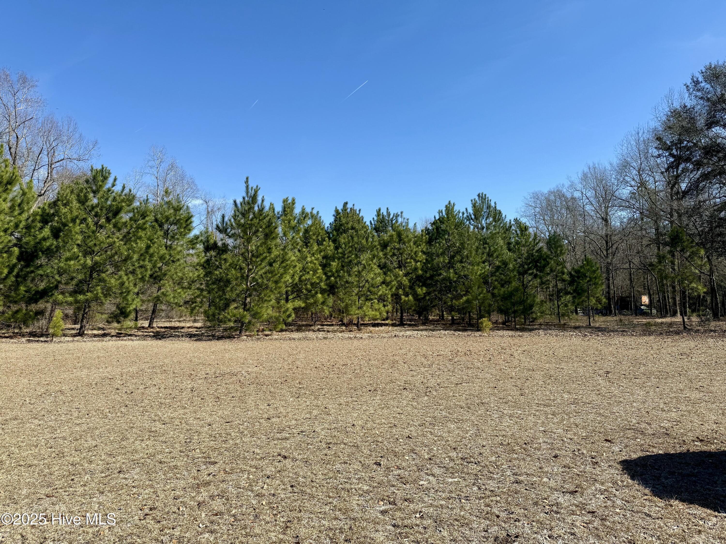 00 Old Tar Landing Road Property Photo 8