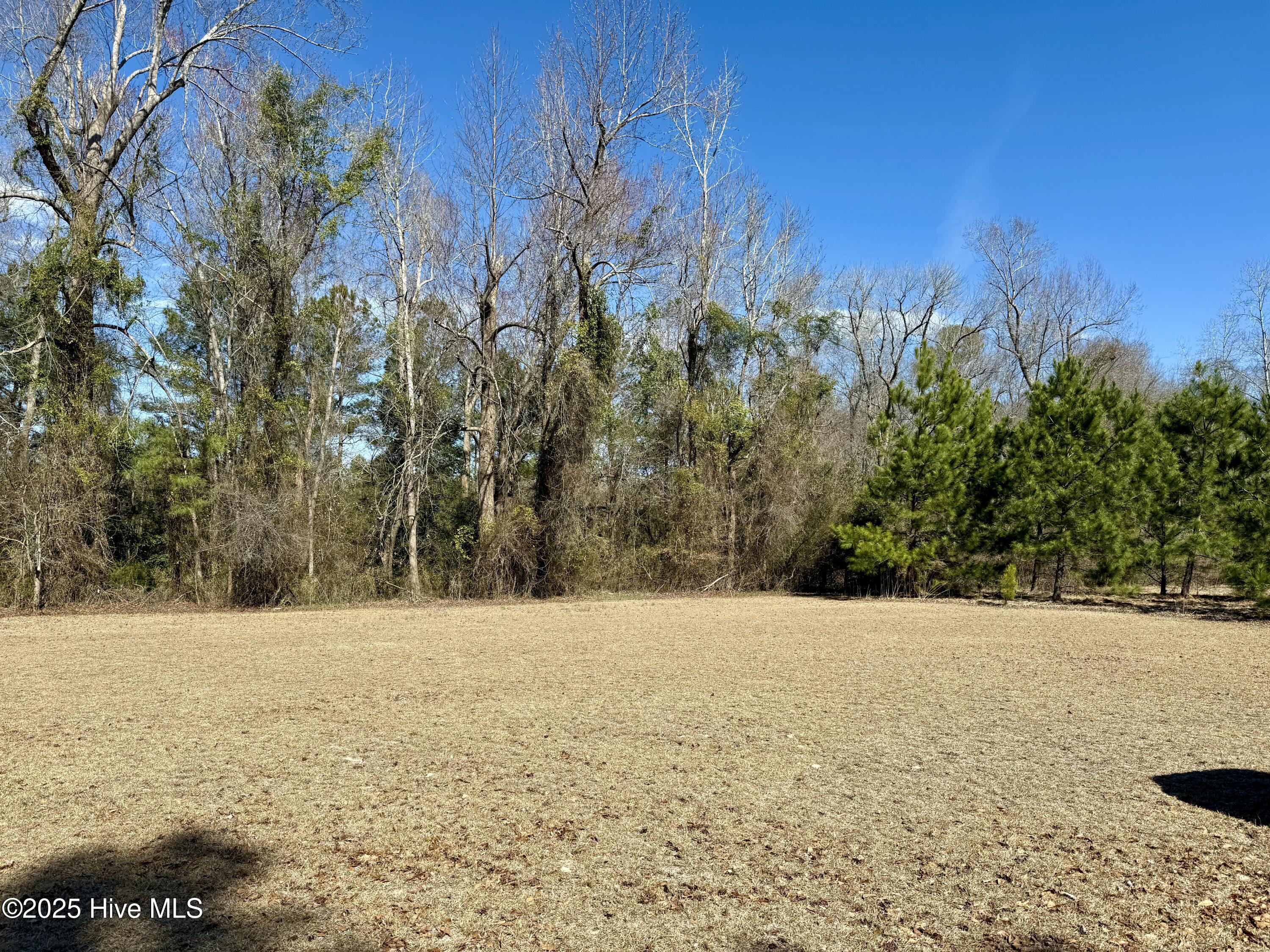 00 Old Tar Landing Road Property Photo 9