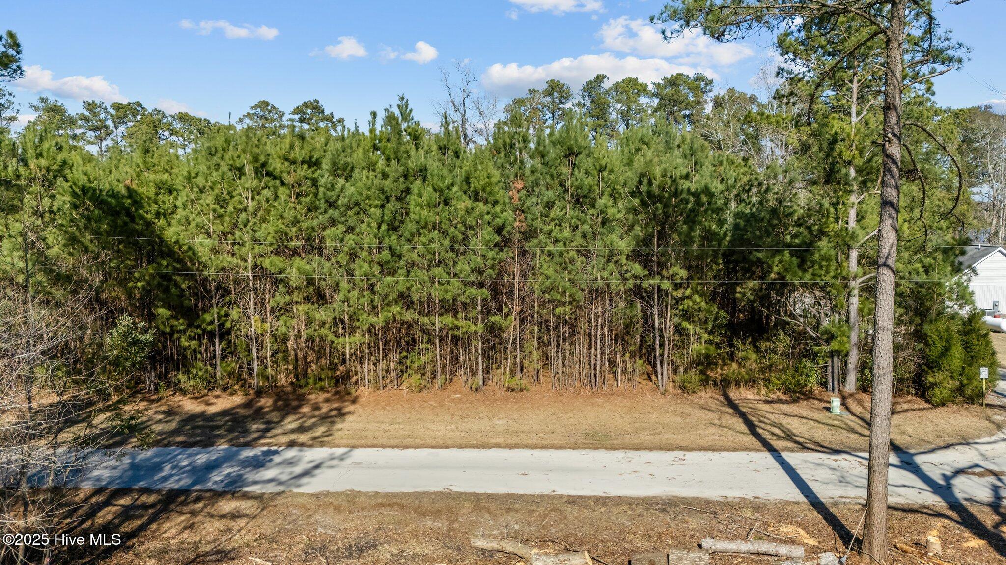 0 Long Point Landing Road Property Photo