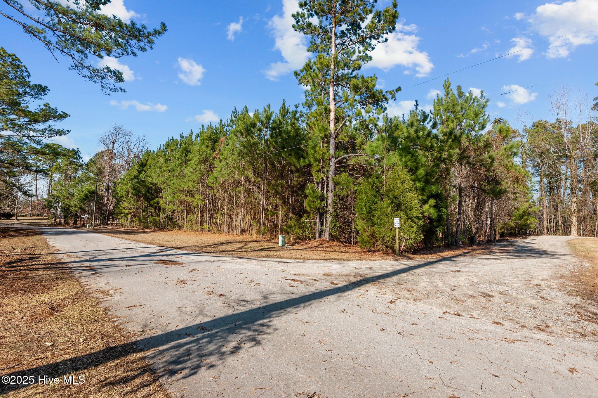 0 Long Point Landing Road Property Photo 2