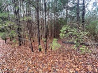 0 Long Point Landing Road Property Photo 3