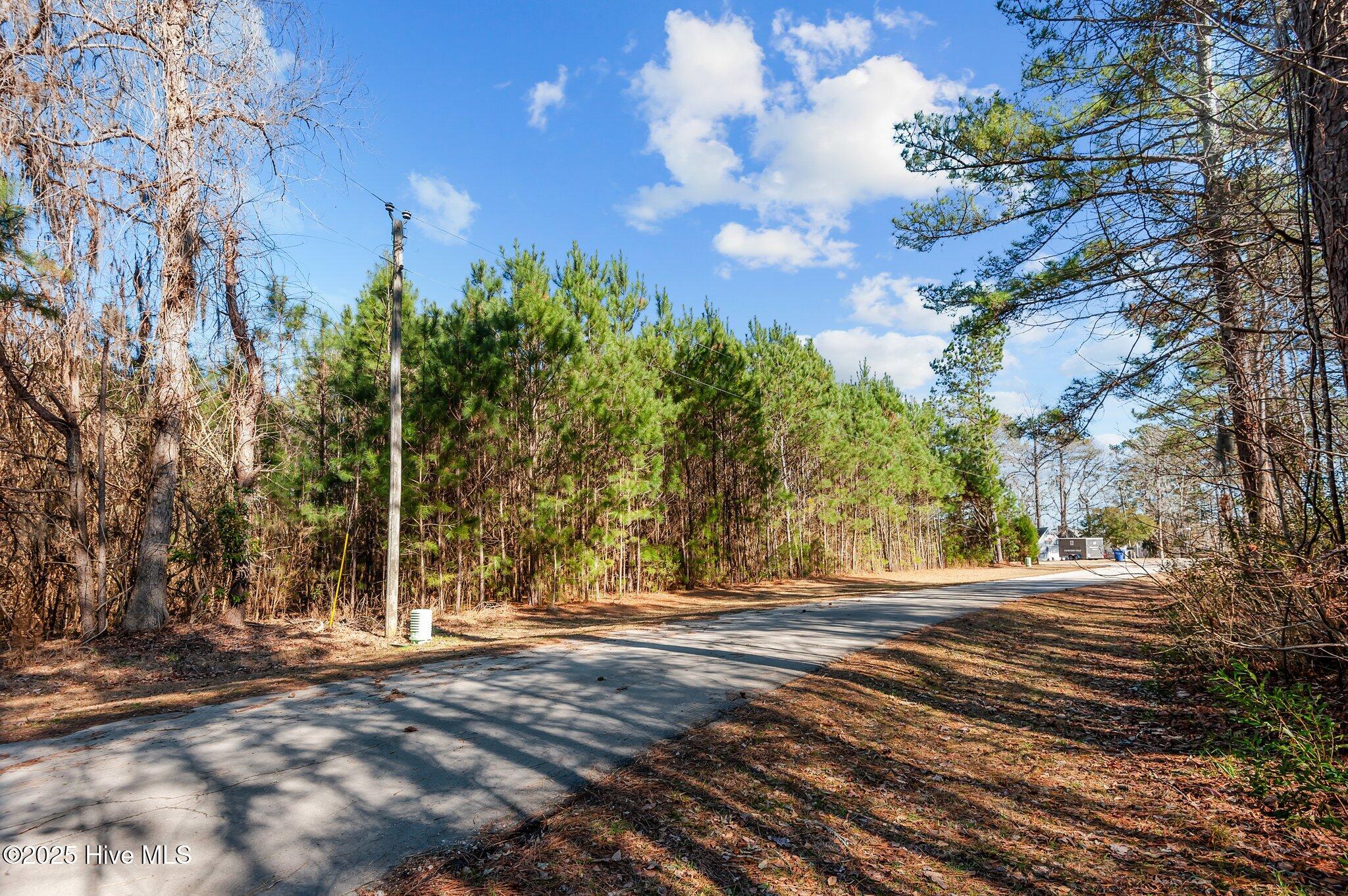 0 Long Point Landing Road Property Photo 4