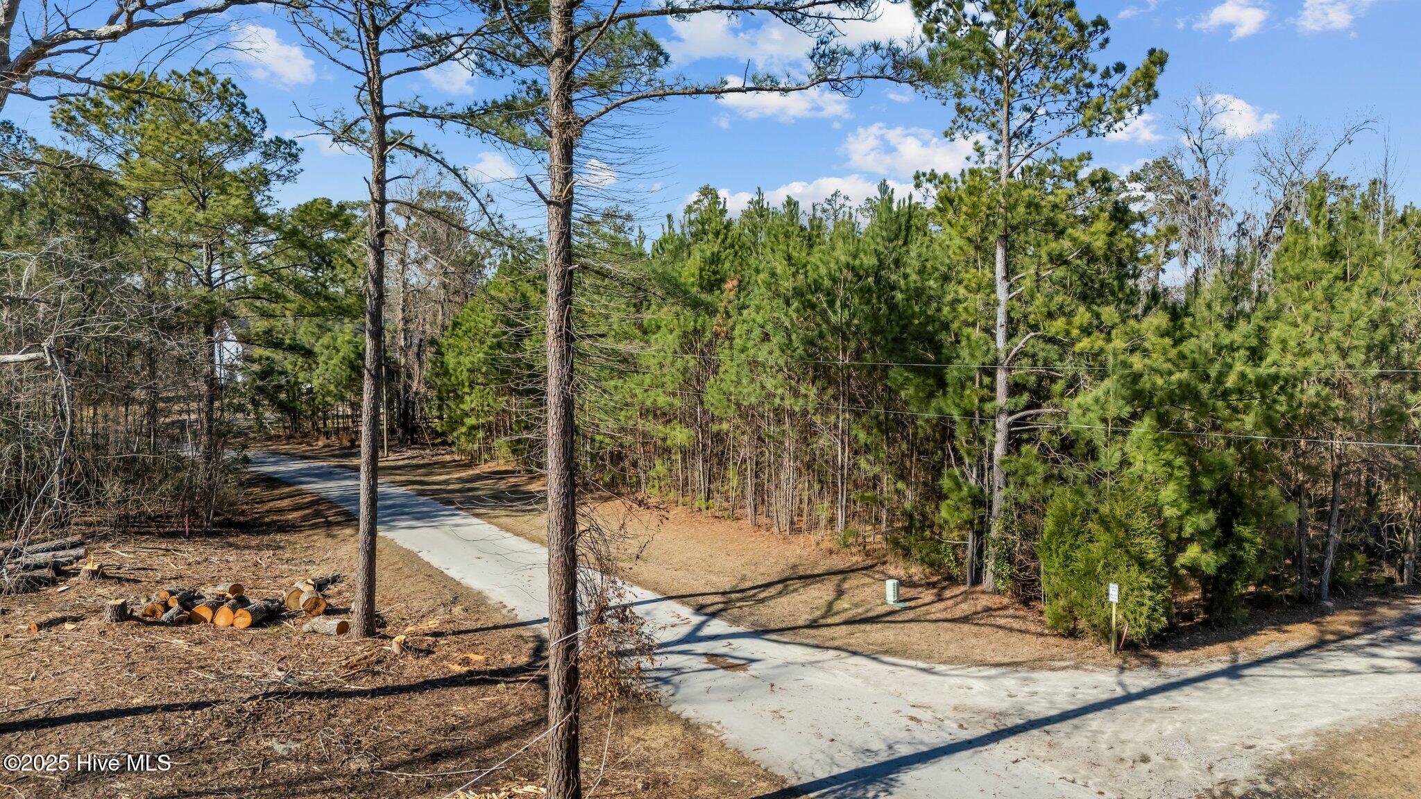 0 Long Point Landing Road Property Photo 6