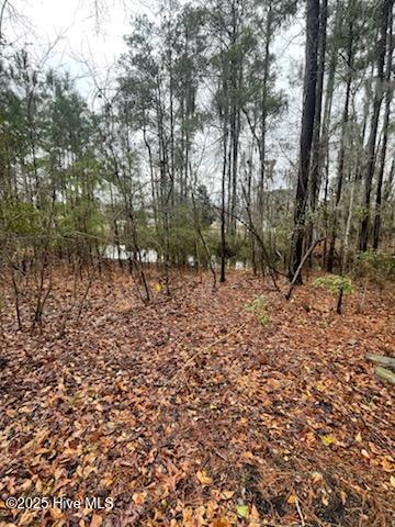0 Long Point Landing Road Property Photo 7