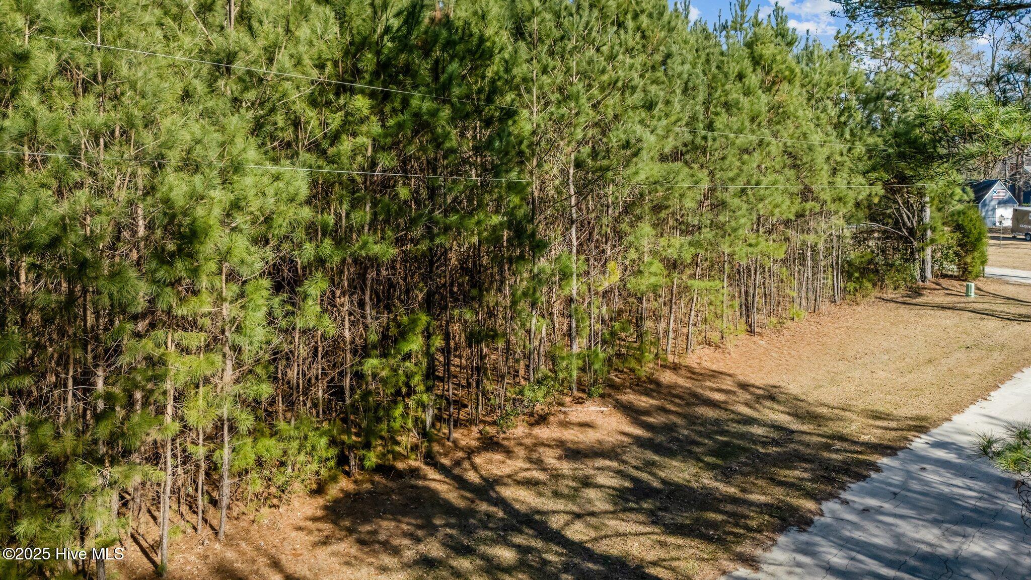 0 Long Point Landing Road Property Photo 8