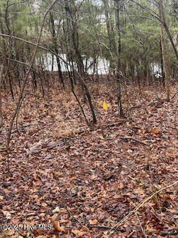 0 Long Point Landing Road Property Photo 9