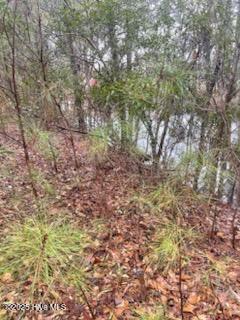 0 Long Point Landing Road Property Photo 10
