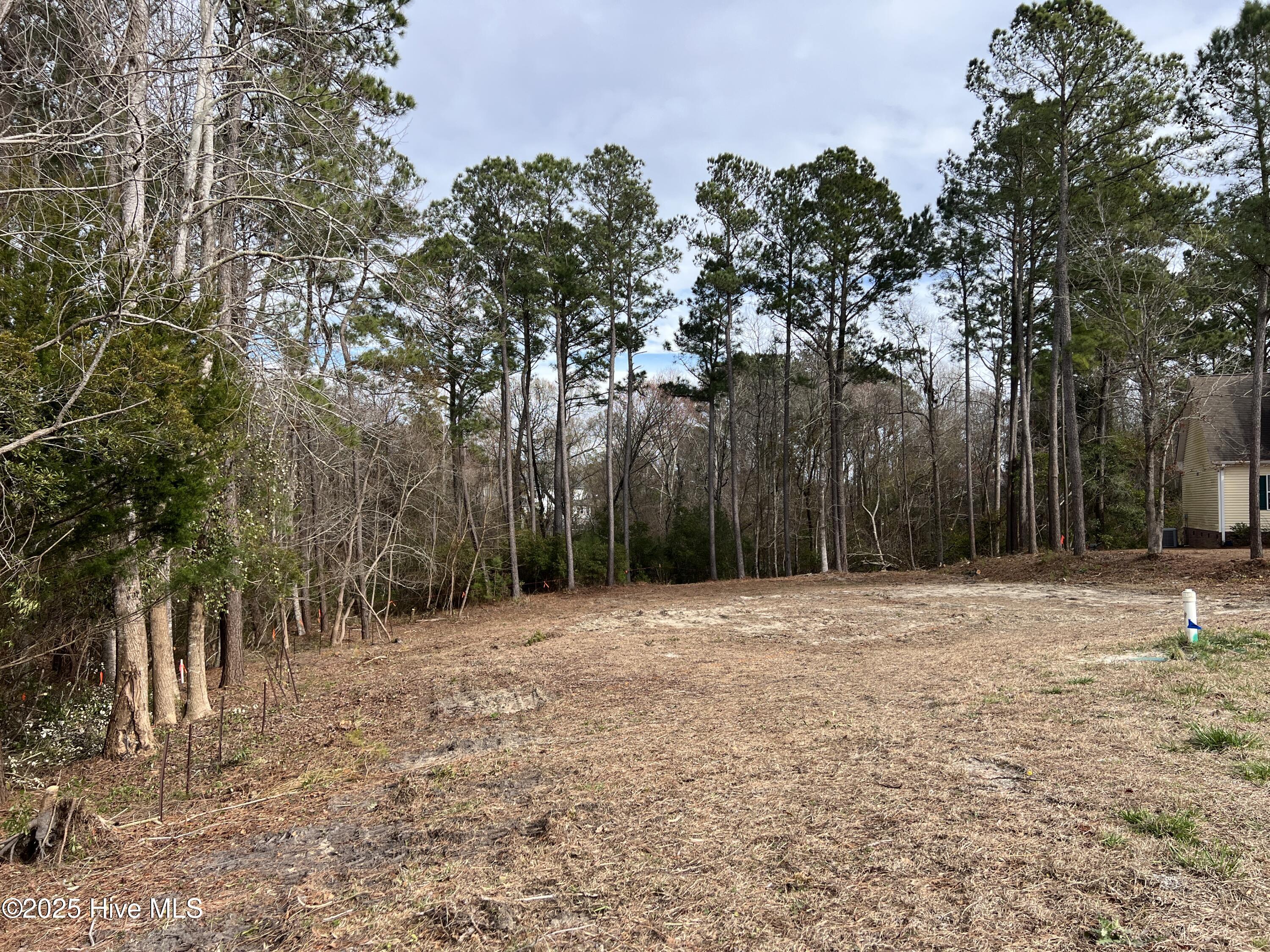 125 River Reach Drive Property Photo 3