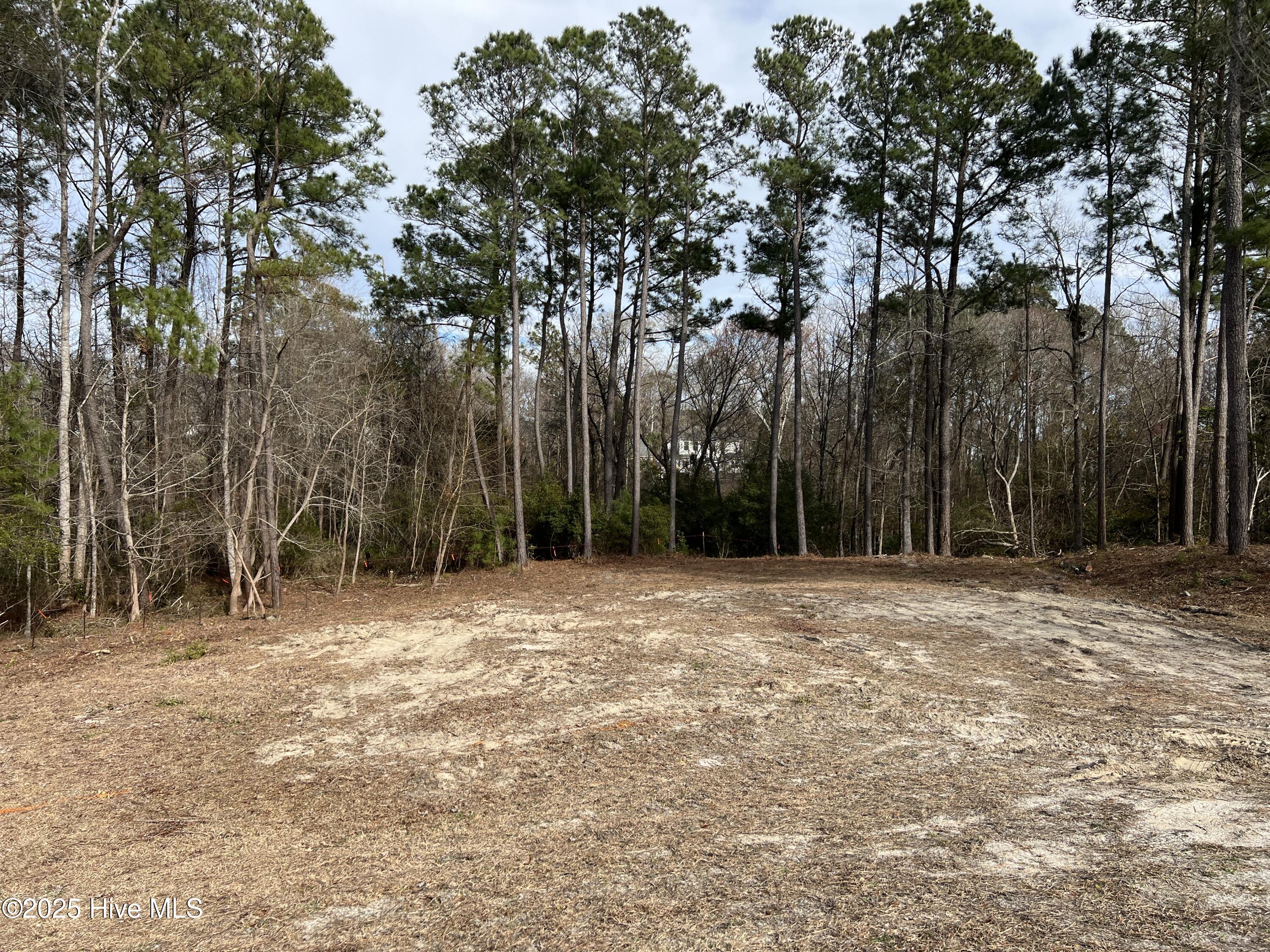 125 River Reach Drive Property Photo 4