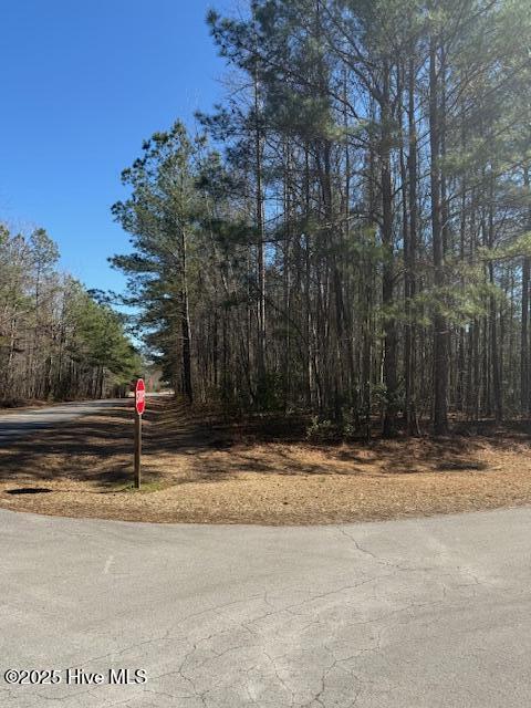 Lot 24 Long Point Road Property Photo 18