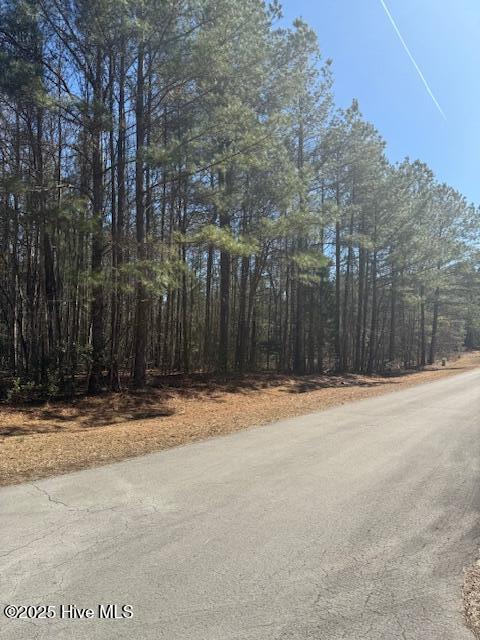 Lot 24 Long Point Road Property Photo 19