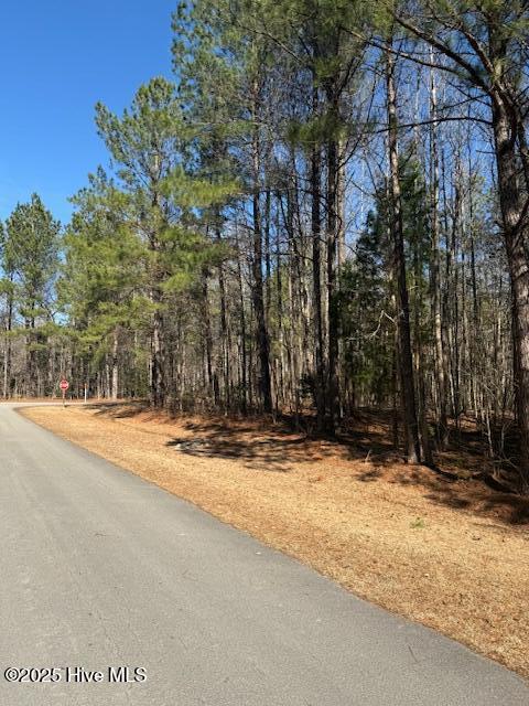 Lot 24 Long Point Road Property Photo 20