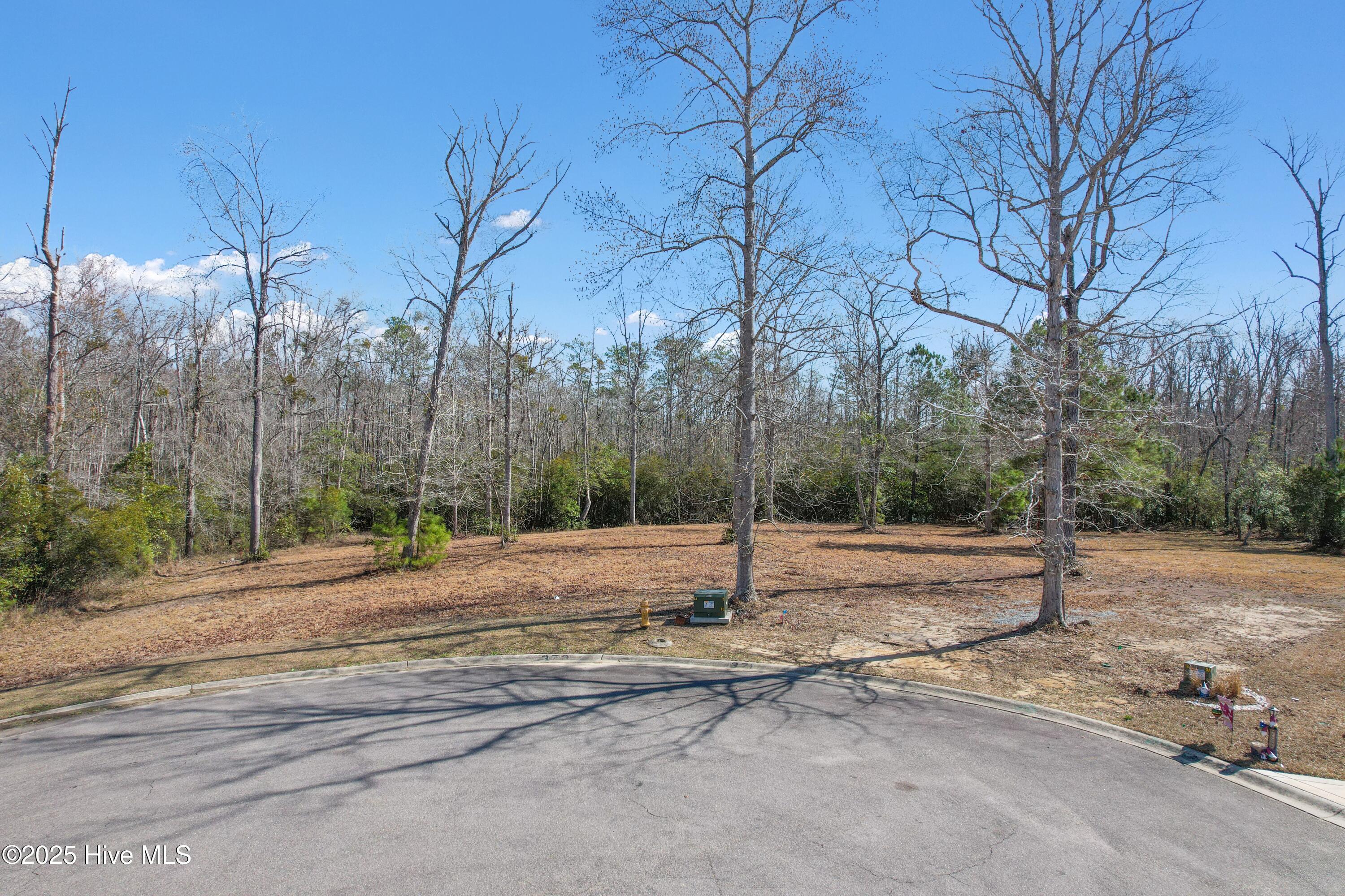 371 John Grissett Drive Property Photo 6