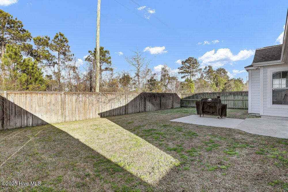 124 N Lamplighters Walk Property Photo 28