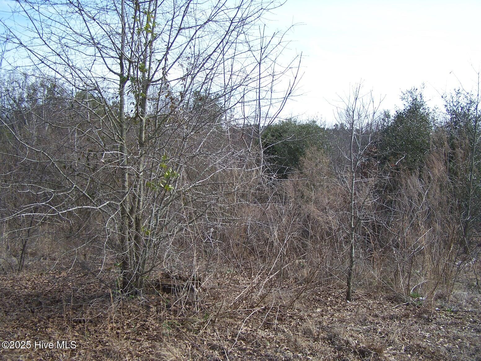 Tbd Bennett Road Property Photo 1