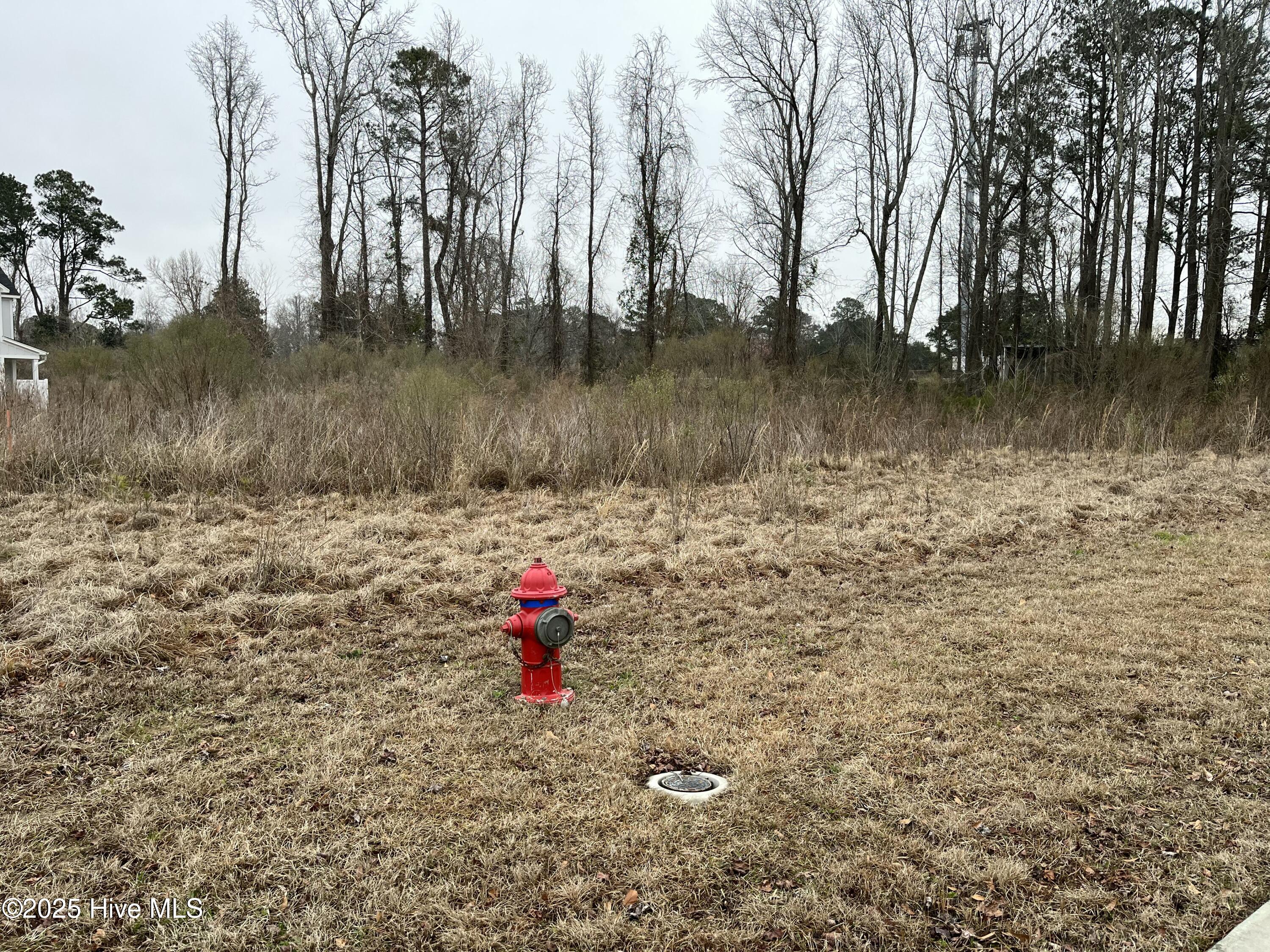 309 Preservation Pt Avenue Property Photo 2