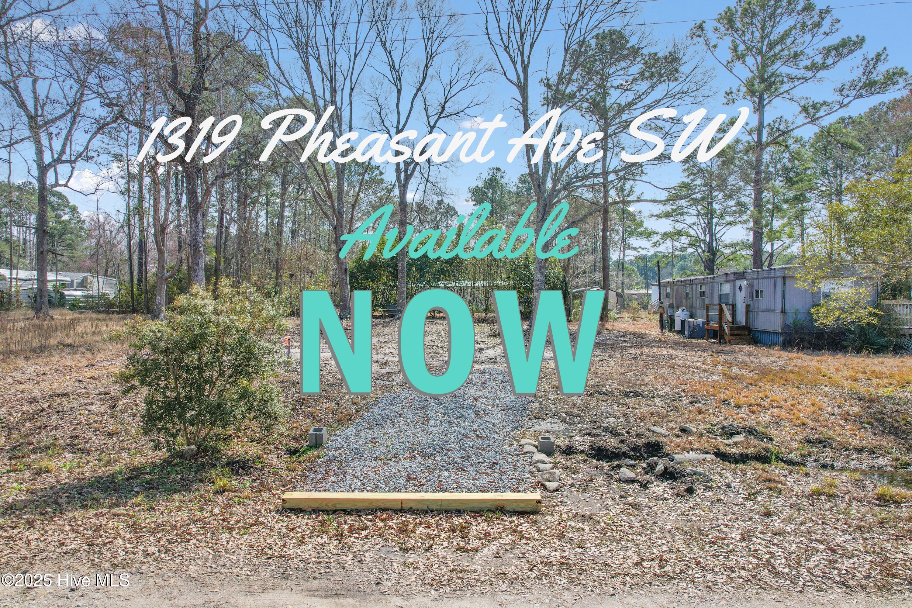 1319 Pheasant Avenue Property Photo 3