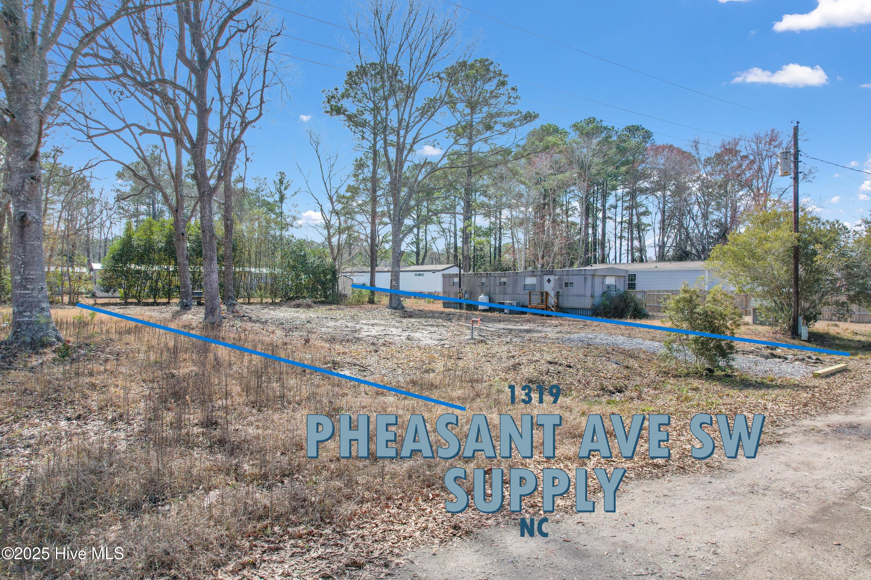 1319 Pheasant Avenue Property Photo 5