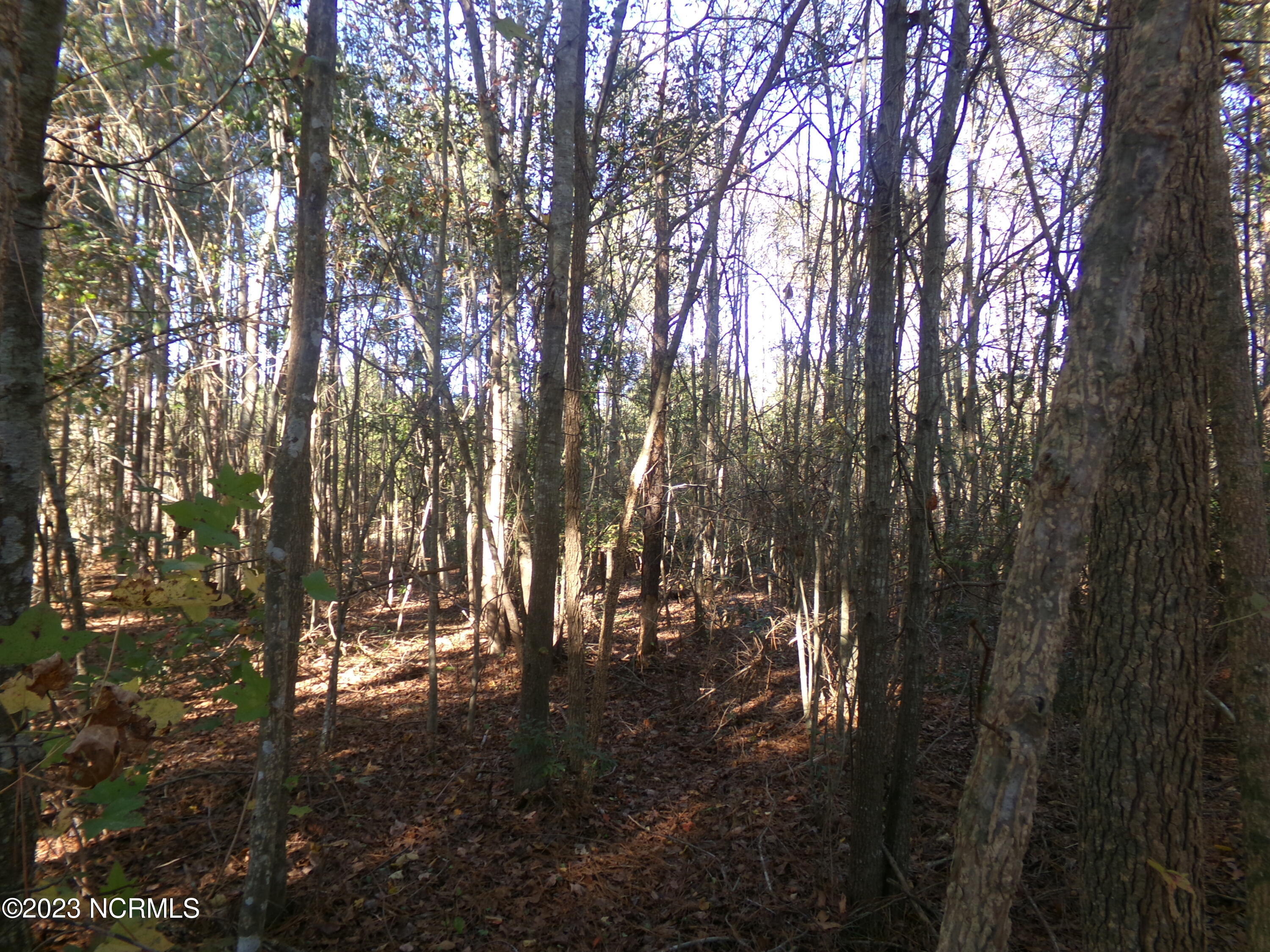 . Lot 9 Acie Shipman Road Property Photo 3