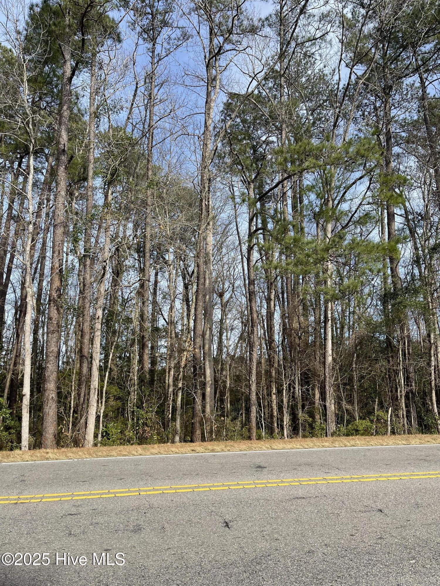 2.44 Acres Us 87 Property Photo 3