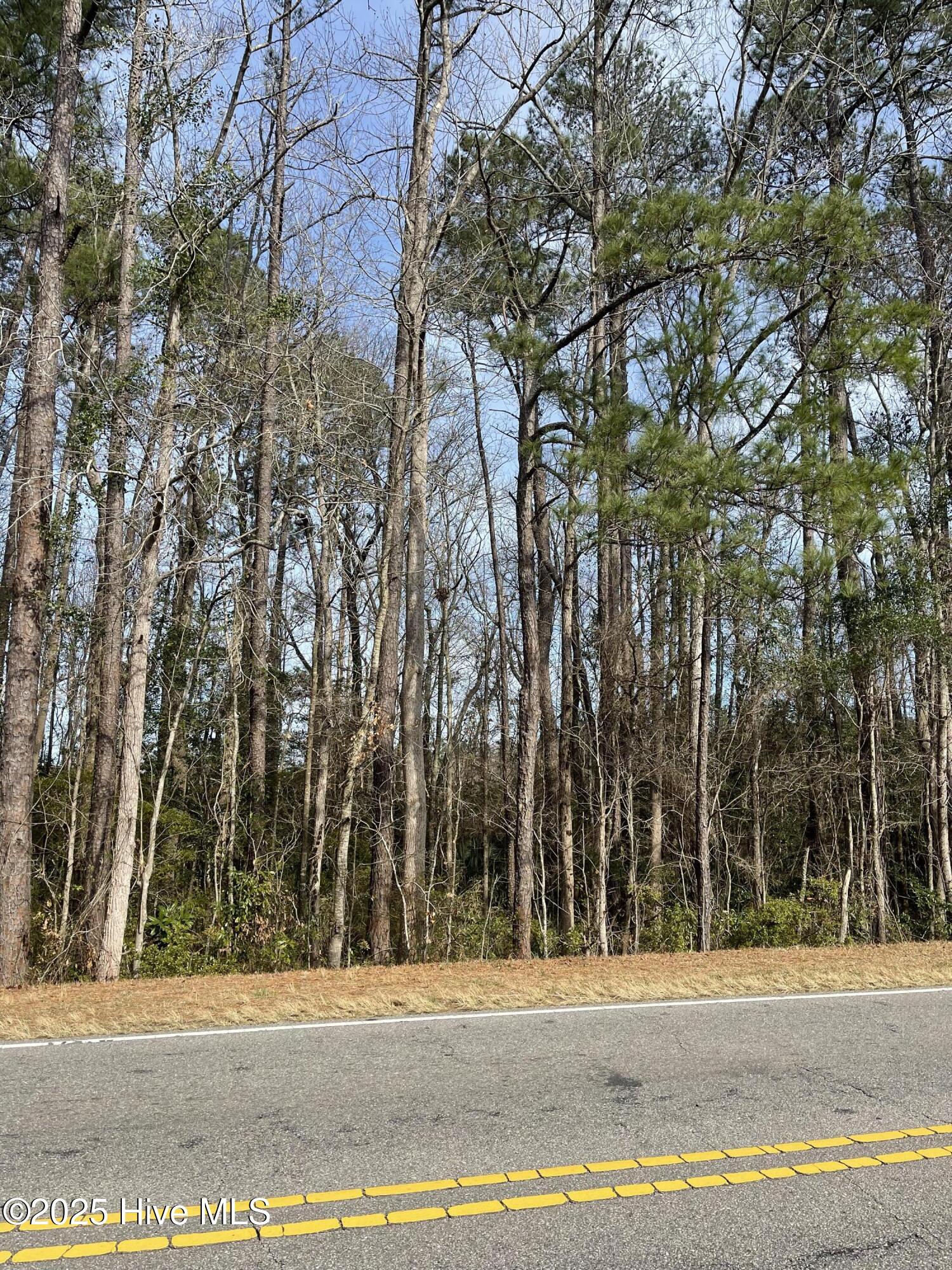 2.44 Acres Us 87 Property Photo 4