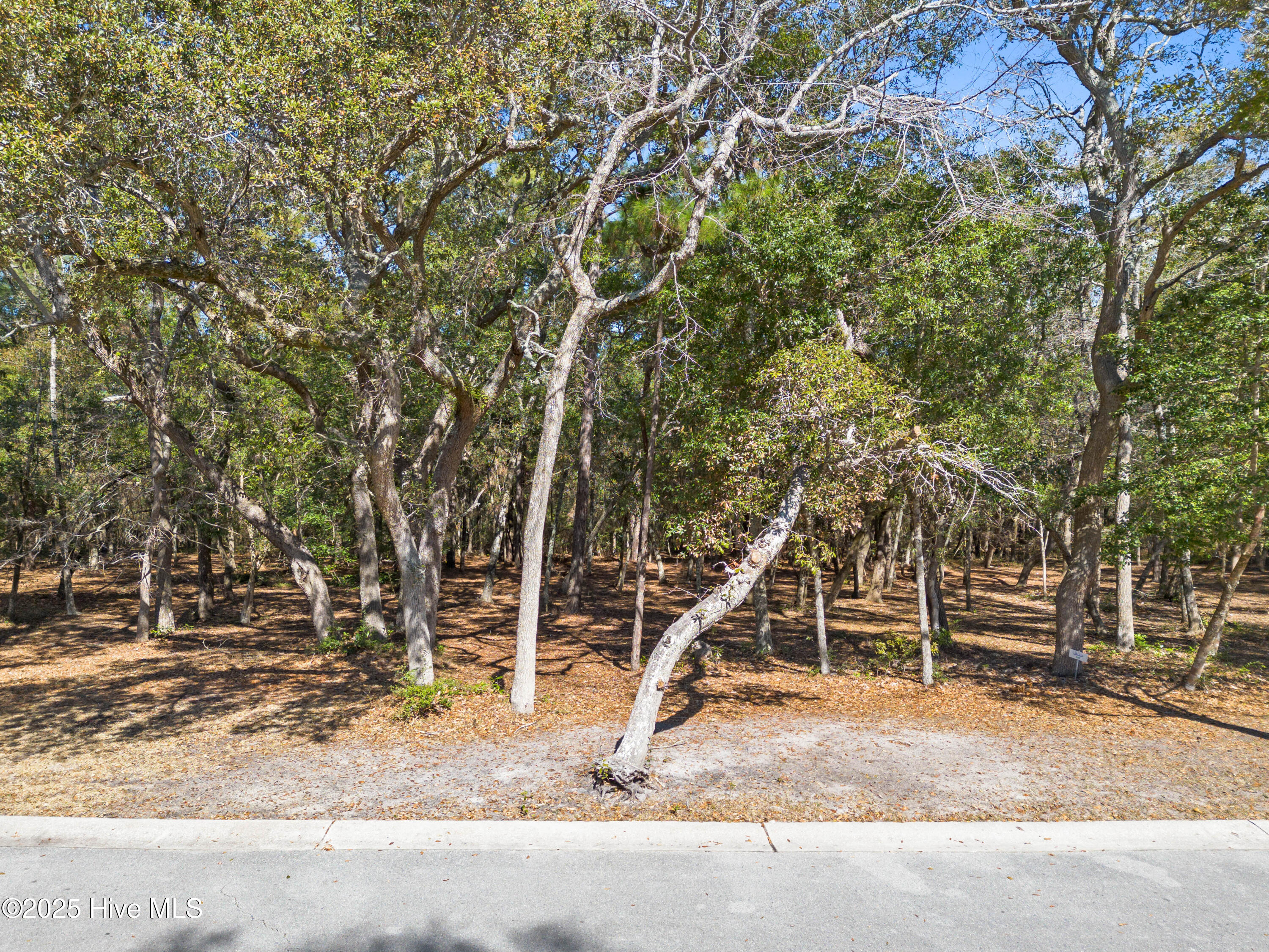 736 Beaufain Street Property Photo 1