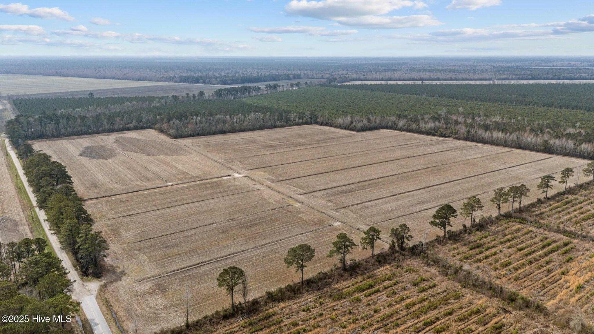 0 Neals Creek Road Property Photo 1