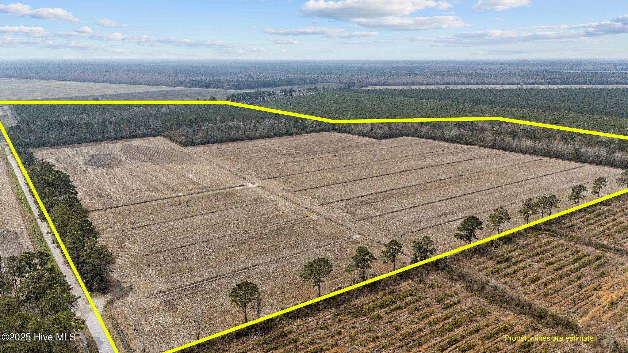 0 Neals Creek Road Property Photo 2