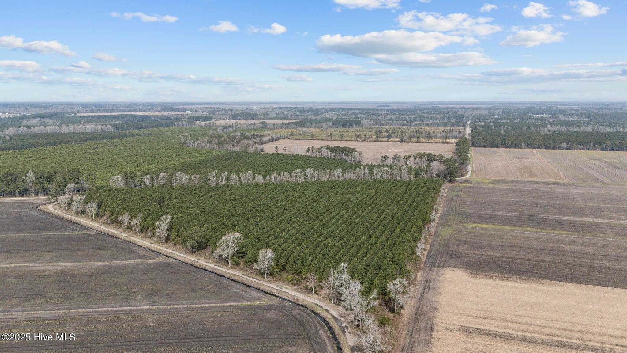 0 Neals Creek Road Property Photo 7