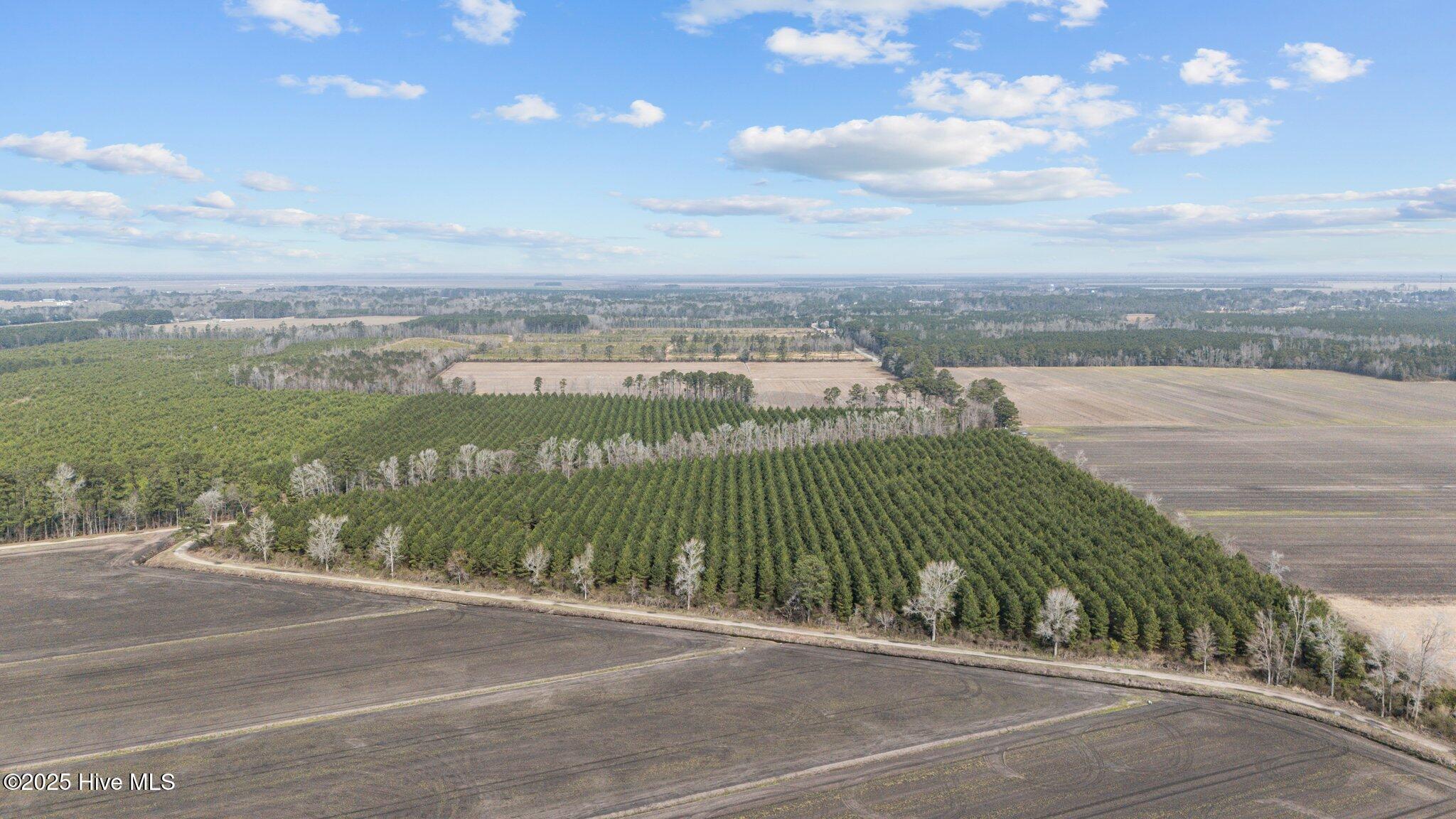 0 Neals Creek Road Property Photo 8