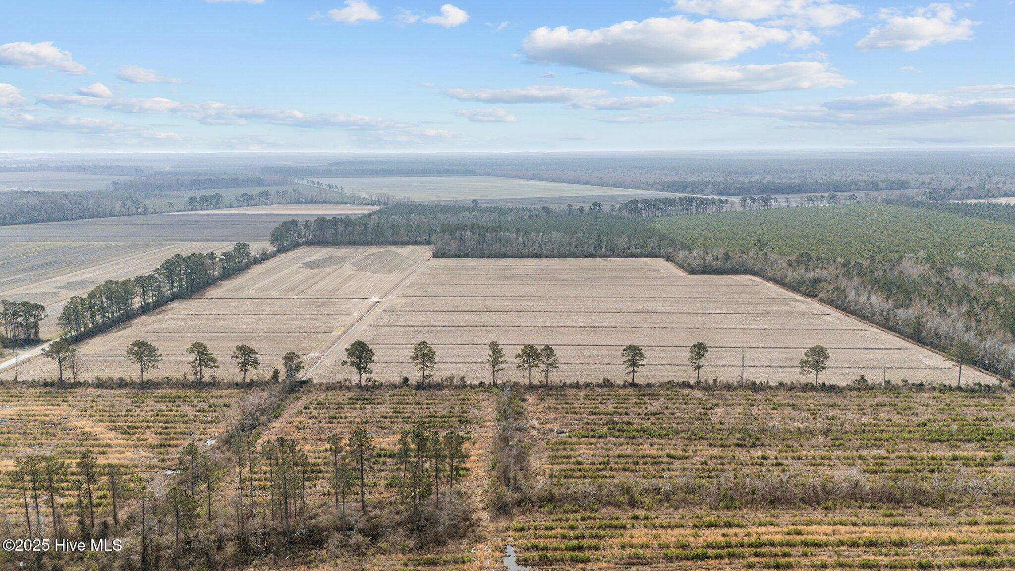 0 Neals Creek Road Property Photo 15